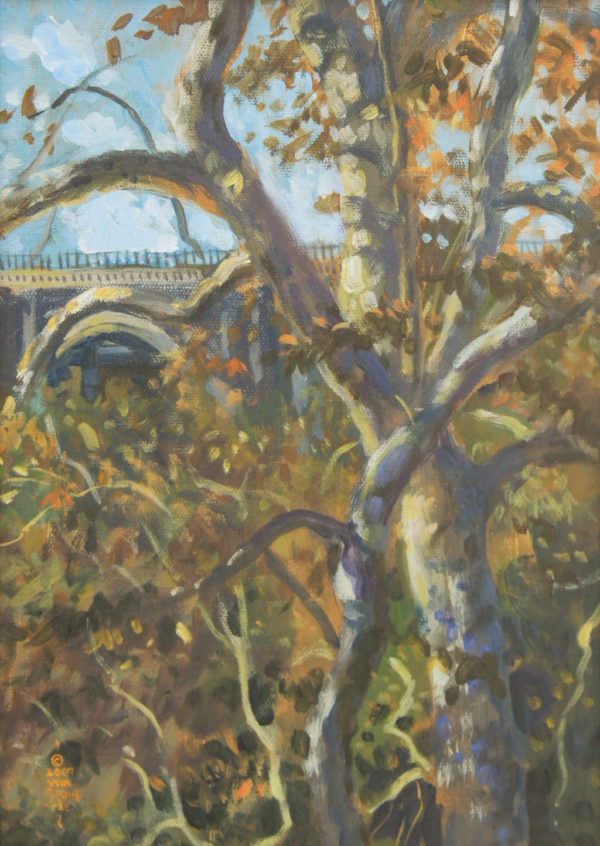 American Legacy Fine Arts presents "Colorado Street Bridge Through the Sycamores" a painting by William Stout.