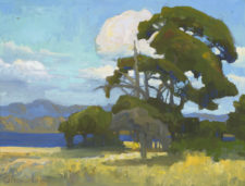 American Legacy Fine Arts presents "Windswept Junipers; Afternoon by Guadalupe" a painting by Peter Adams.