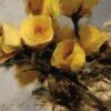 American Legacy Fine Arts presents "Yellow Roses" a painting by Jeremy Lipking.