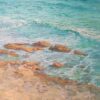 American Legacy Fine Arts presents "Abalone Cove Shoreline" a painting by Stephen Mirich.