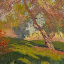 American Legacy Fine Arts presents "Bolero Springs Maiden; Irvine Land Preserve" a painting by Alexey Steele.
