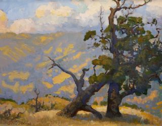 A new painting by Peter Adams @artofpeteradams - "Sentinel Oaks Overseeing a Cloud Burst; Tejon Ranch", oil on panel, 16" x 20"⁠
⁠
The painting is available at ALFA, please direct message for details.⁠
⁠
⁠
⁠
#peteradams #tejon #tejonranch #tehachapi #oaktree #pleinairpainting #pleinairart #pleinairartist #californialandscape #californiaart #americanlegacyfinearts #contemporarytraditionalart