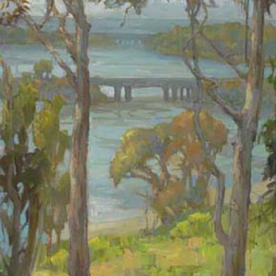 American Legacy Fine Arts presents "Eucalyptus at Batiquitos" a painting by Peter Adams.