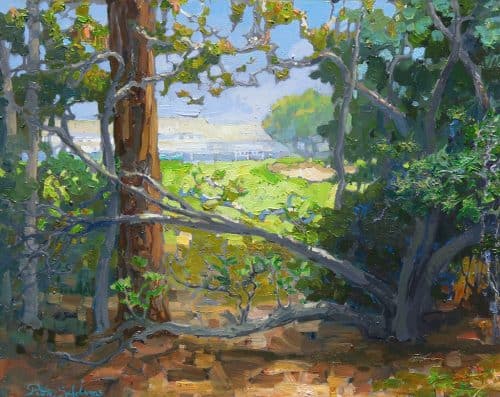 American Legacy Fine Arts presents "Hidden View" a painting by Peter Adams.
