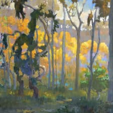 American Legacy Fine Arts presents "Light in the Eucalyptus Forest; Carlsbad" a painting by Peter Adams.