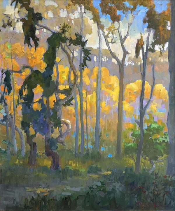 Light in the Eucalyptus Forest, Carlsbad » American Legacy Fine Arts