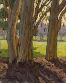 American Legacy Fine Arts presents "Afternoon Eucalyptus" a painting by Tim Solliday.