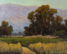 American Legacy Fine Arts presents "October Foothills" a painting by Steve Curry.
