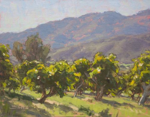 American Legacy Fine Arts presents "Avocado Orchard" a painting by Dan Schultz.