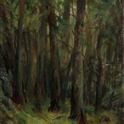 American Legacy Fine Arts presents "A Forest; Karelia, Russia" a painting by Nikita Budkov.