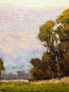 American Legacy Fine Arts presents "Carpenteria Foothills" a painting by Steve Curry.