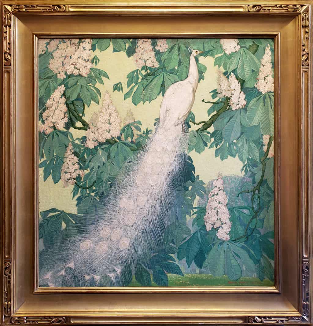 American Legacy Fine Arts presents "White Peacock" a painting by Jessie Haze Arms Botke.