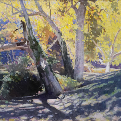 Calvin Liang artist Oil painting Shadow and light; Pasadena Arroyo
