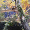 Calvin Liang artist Oil painting Shadow and light; Pasadena Arroyo