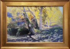 Calvin Liang artist Oil painting Shadow and light; Pasadena Arroyo