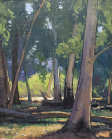 American Legacy Fine Arts presents "Eucalyptus Forest' a painting by Dan Schultz.