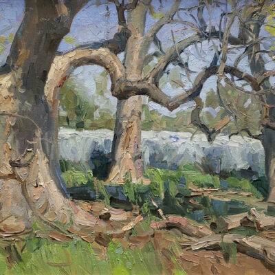 American Legacy Fine Arts presents "Oaks in Tejon Ranch" a painting by Mian Situ.