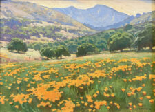 American Legacy Fine Arts presents "Poppies; Tejon Ranch" a painting by Ray Roberts.