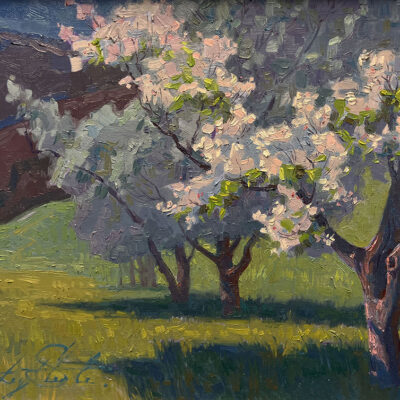American Legacy Fine Arts presents "Apple-Bloom; Riley's Farm, California" a painting by Alexey Steele.