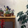 Jim McVicker artist Still Life with Bromeliad and Pansies Oil Painting